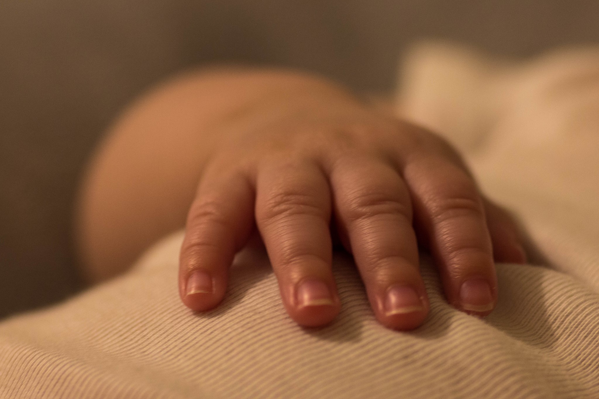 29343248_10160172311835582_2054051487788564480_o